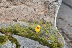 photo_8_2025-07-18_11-34-06