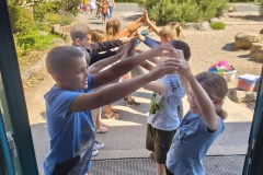 IMG_20250818_142605216