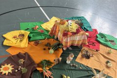 IMG_4520
