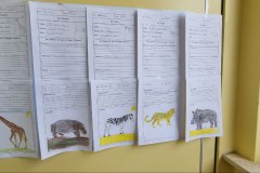 photo_9_2025-05-26_17-56-50