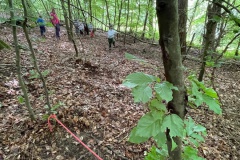 Hindernisparcours