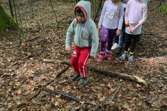 Springen